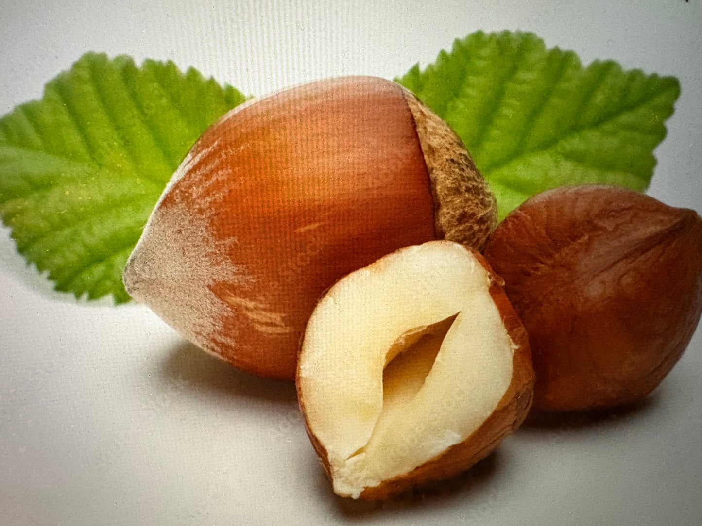 Hazelnut